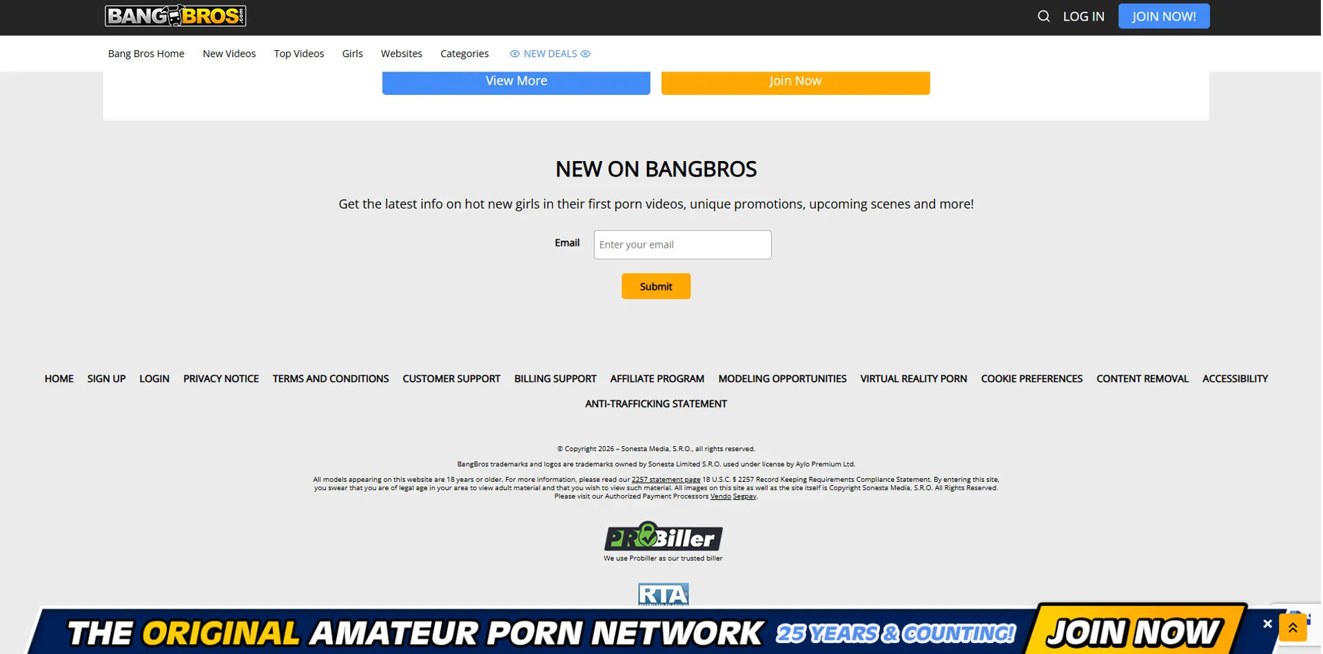 What Is BangBros?